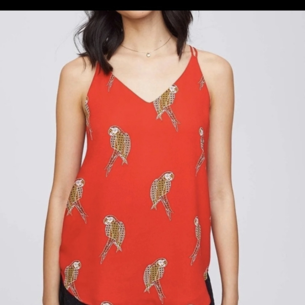 Red Parrot Top